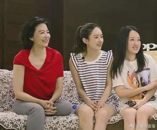 离婚女星吃瓜视频大全,揭秘娱乐圈背后的情感纠葛