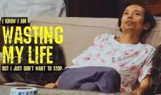 葛优吃瓜照片大全视频下载,经典照片大全视频免费下载