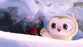 搞笑吃瓜直播视频下载,带你领略网络笑果盛宴