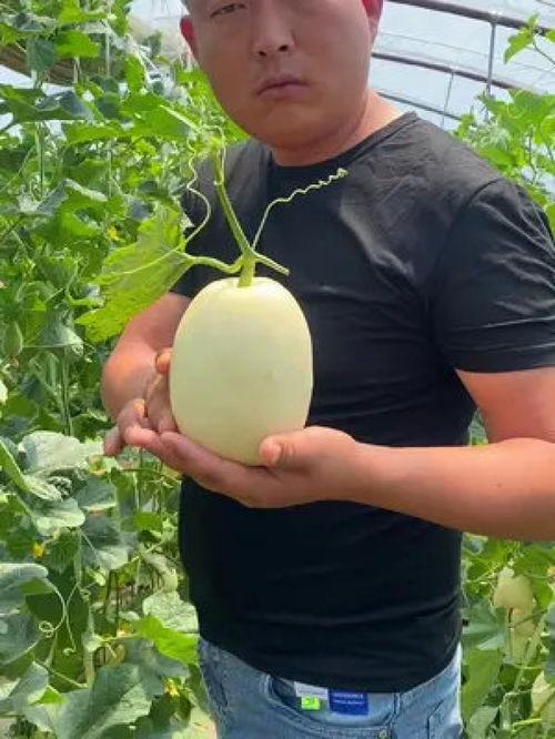 小八吃瓜第9集视频,揭秘幕后真相，剧情反转再反转！