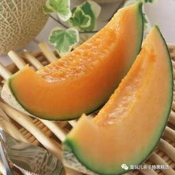 夏日吃哈密瓜视频模板,甜蜜滋味尽享时光