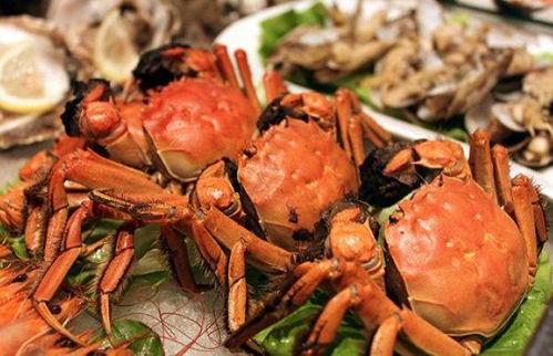 螃蟹吃瓜视频完整版,趣味横生的海洋奇观大揭秘