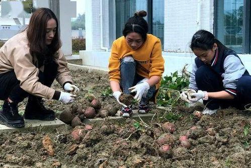 俄罗斯农场吃瓜视频,吃瓜群众直呼过瘾！