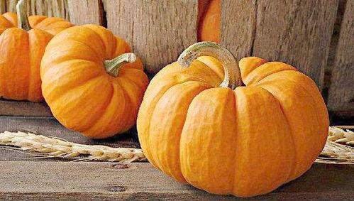 吃方瓜用刮皮吗视频,是否需要刮皮揭秘