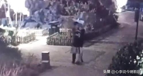 志勋吃瓜视频完整版,揭秘娱乐圈幕后真相,带你领略明星真实生活