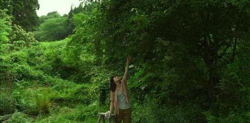 文安小树林吃瓜事件视频,一场引发热议的网络风波